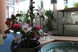 img_9941