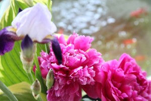 IMG_1268