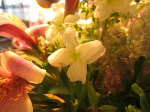IMG_0707