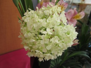 IMG_0715
