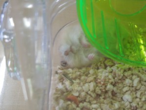 DSCN3636