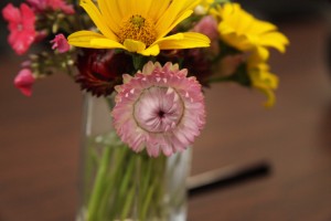 IMG_3176