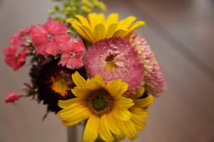 IMG_3185