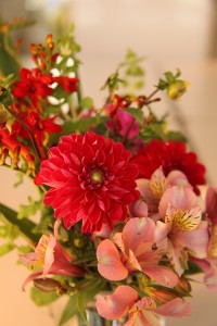 IMG_3201