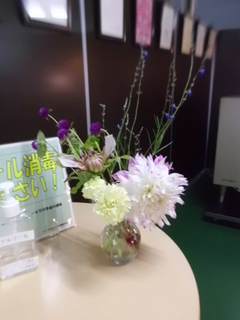 CIMG0186