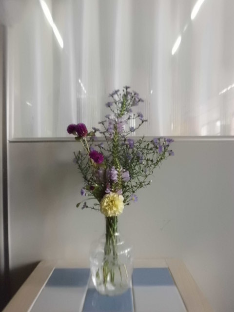 CIMG0189