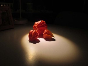 IMG_5202