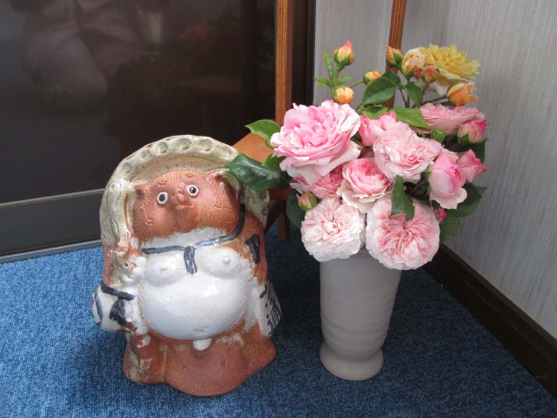 IMG_6393mini