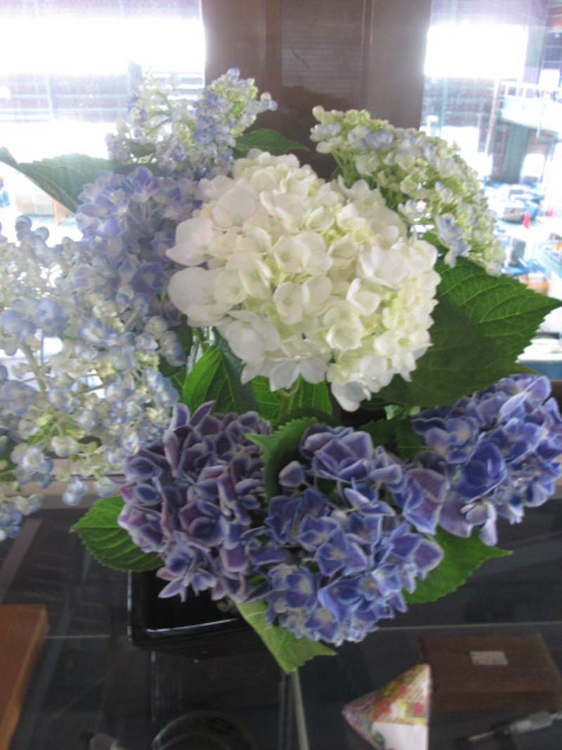紫陽花mini
