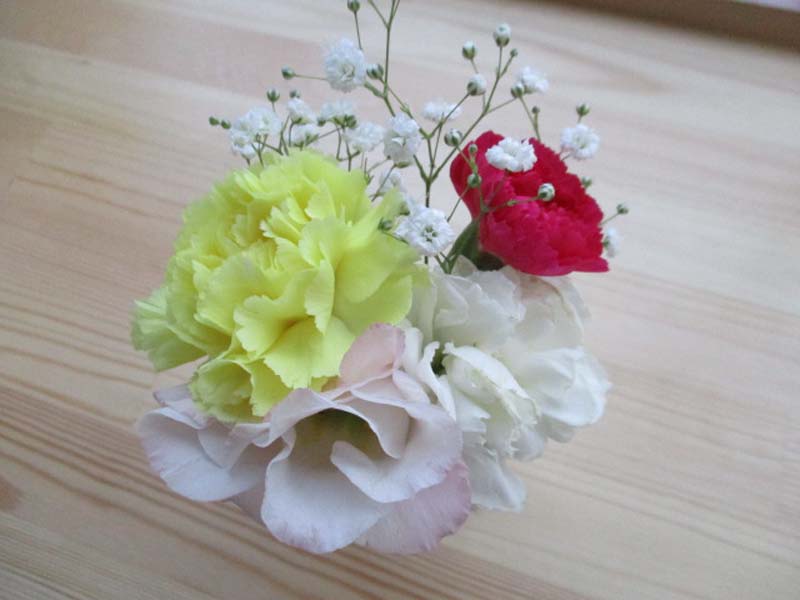 IMG_4904mini